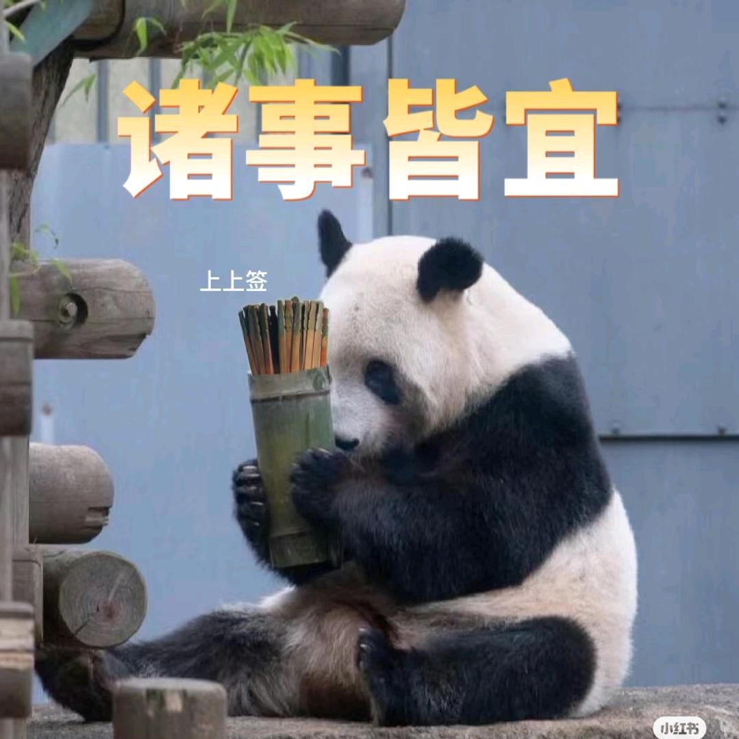 住在七月锁骨窝里的鱼🌠头像