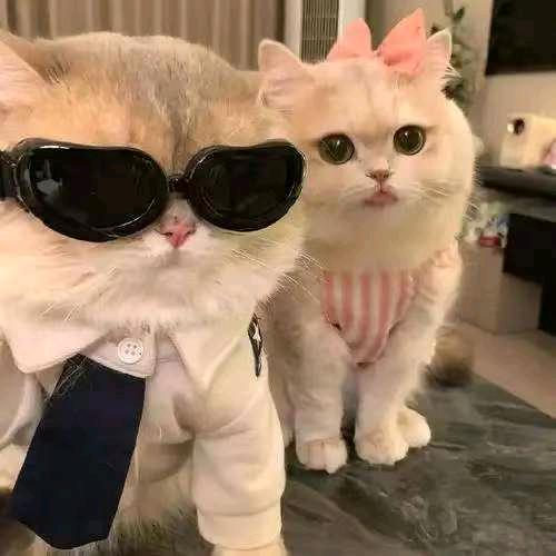 丿Mars丶丨灬 神秘人