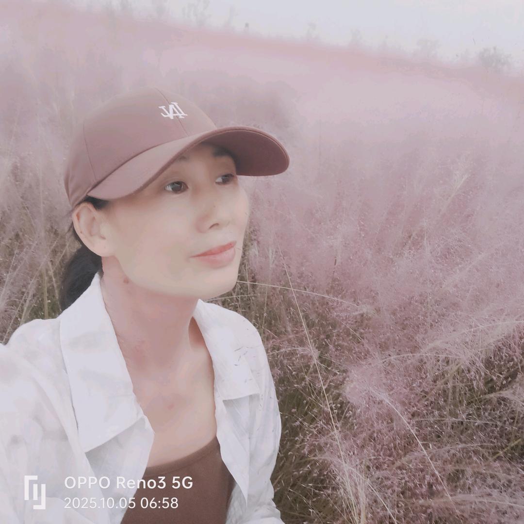 开心每一天