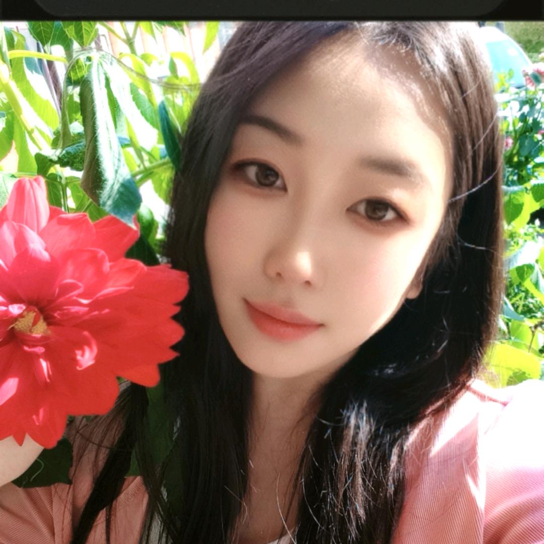 心若向阳一路芬芳