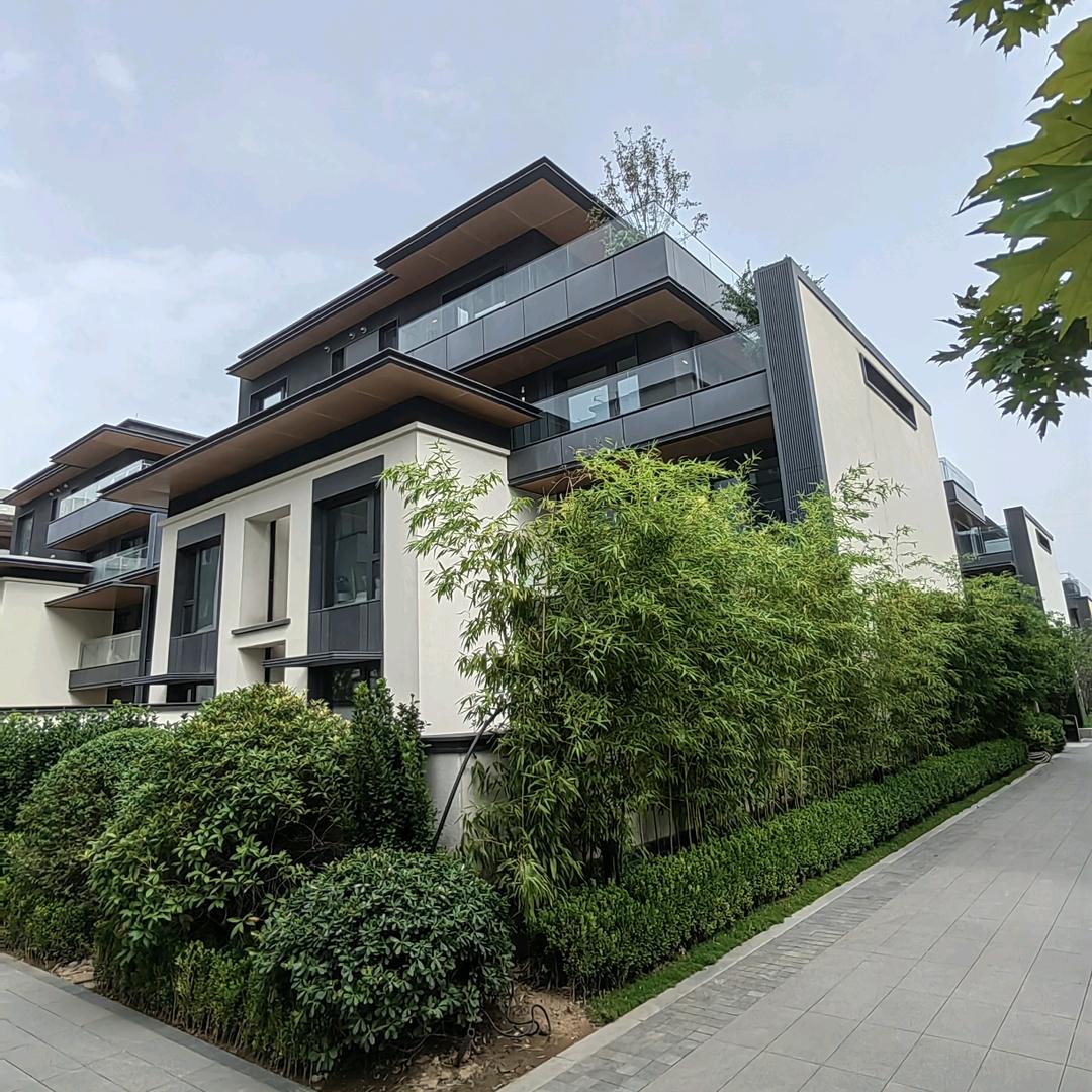 中华如意城蛐蛐