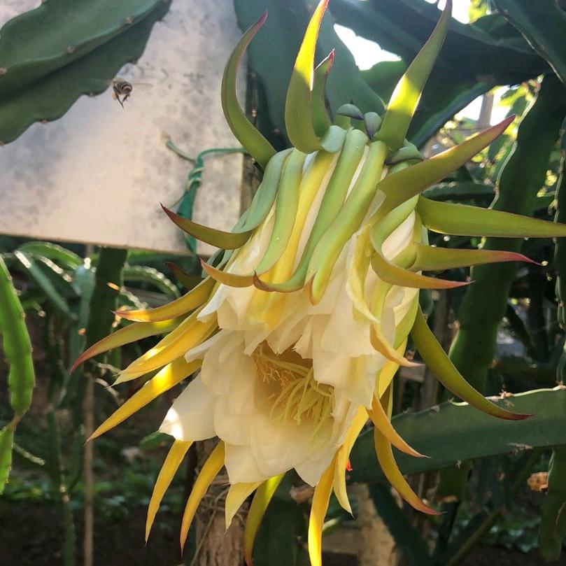 繁华落尽终有悔