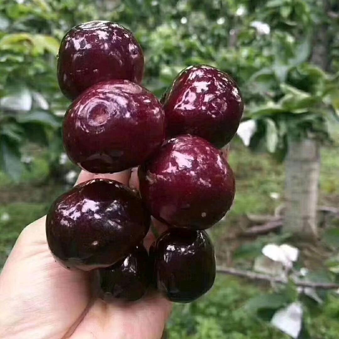 一亩地L《橱窗好货分享》