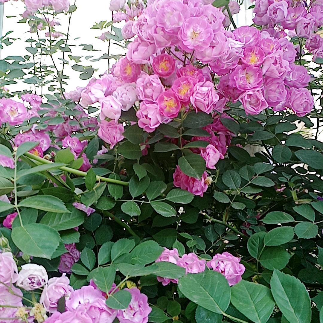 珍惜一生