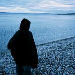 今晚打老虎✨✨