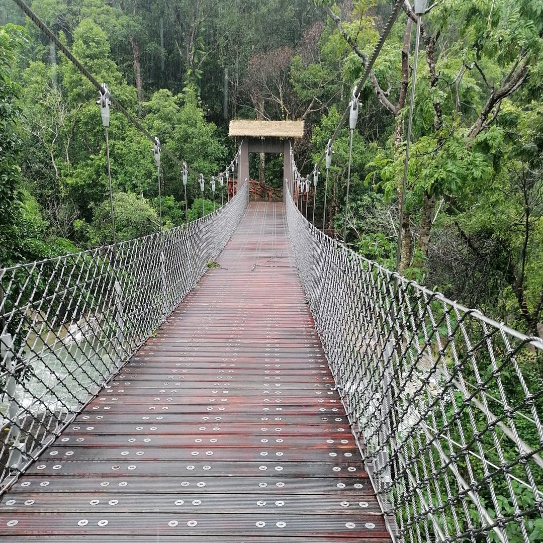 小杨叔