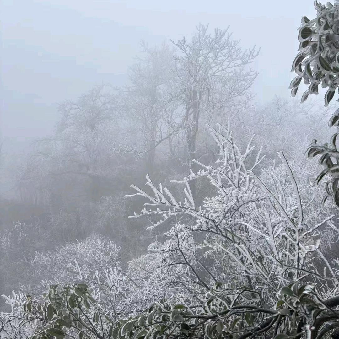 英语老师（已退网）