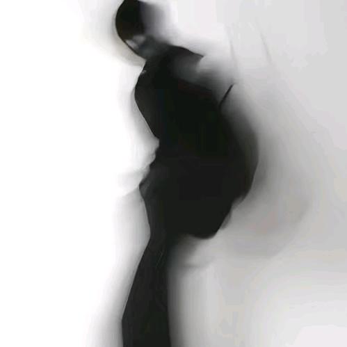 王大拿