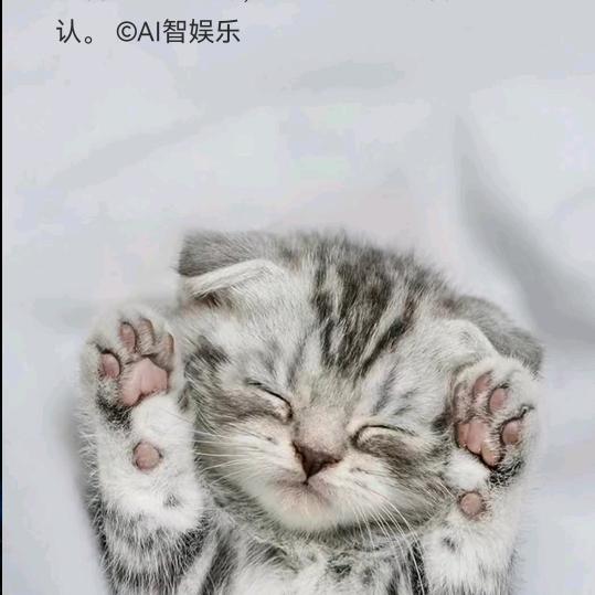 此号注销