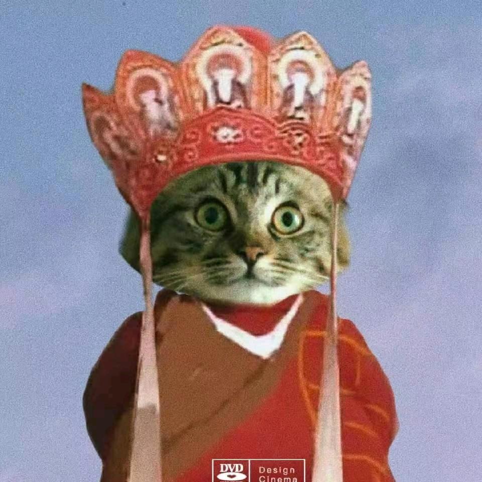 圆滚滚吖