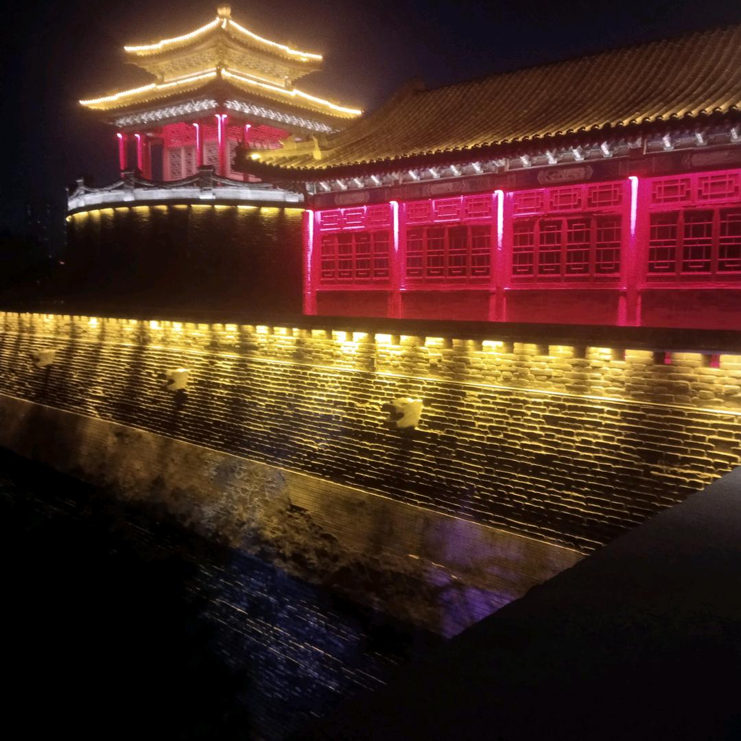 潇潇洒洒2055