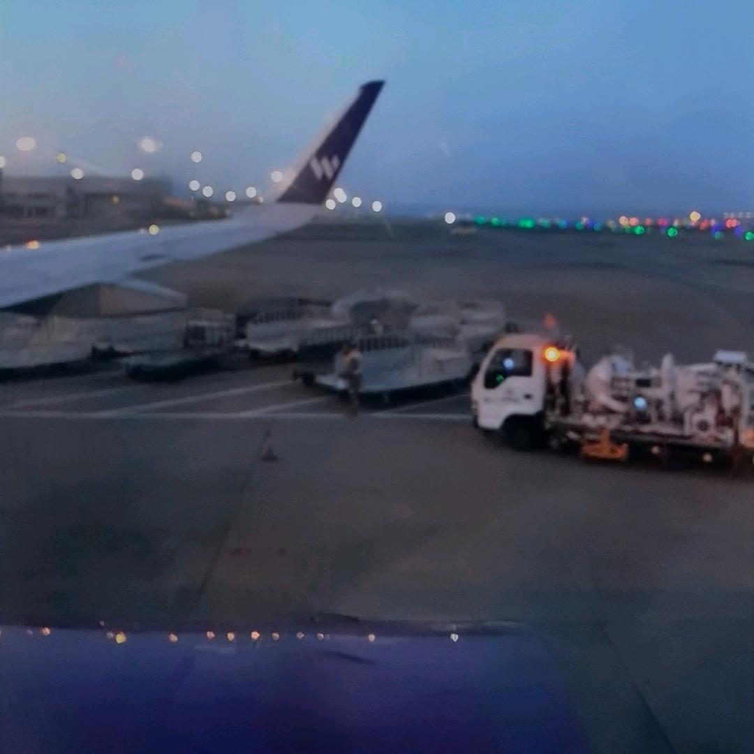 ✈️巴黎之花✈️