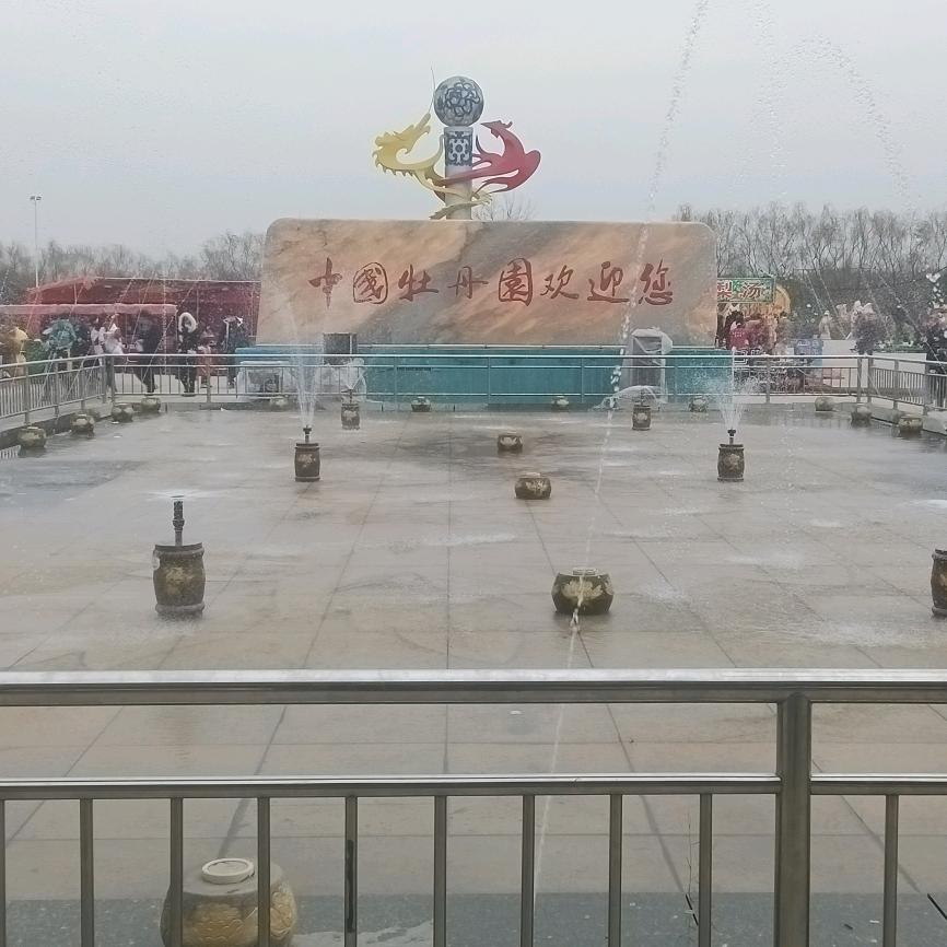牡丹之香