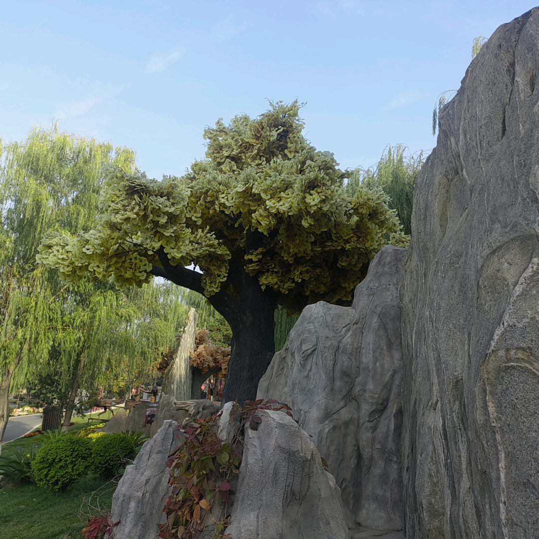 每天努力一点点