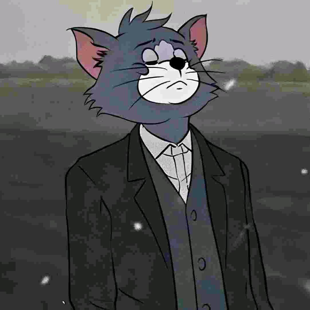 Tom🐈