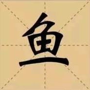 梦源爱养鱼