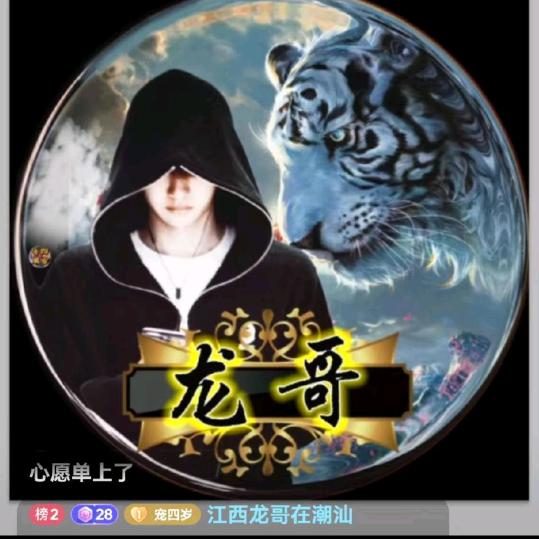 @龙哥