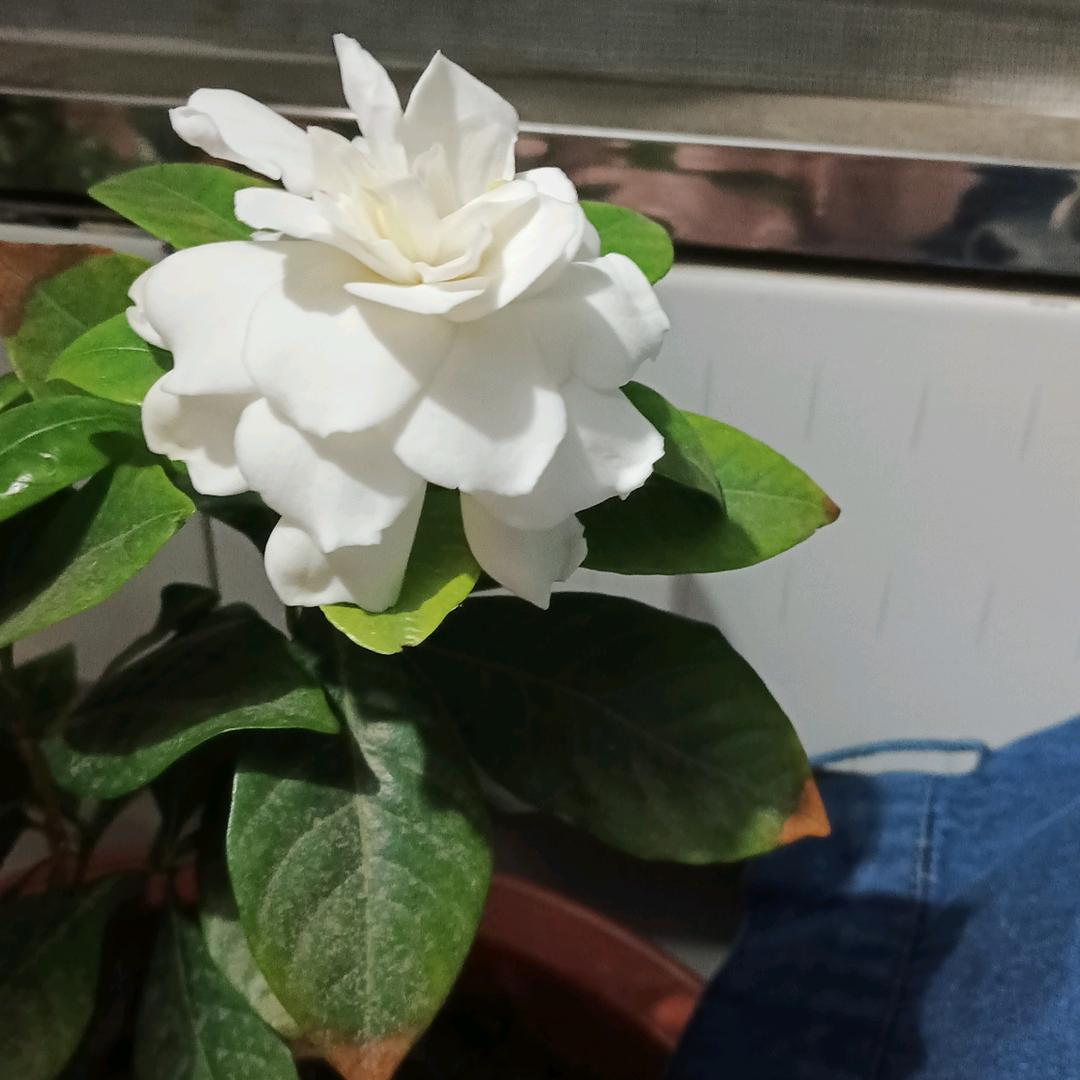 健康最重要