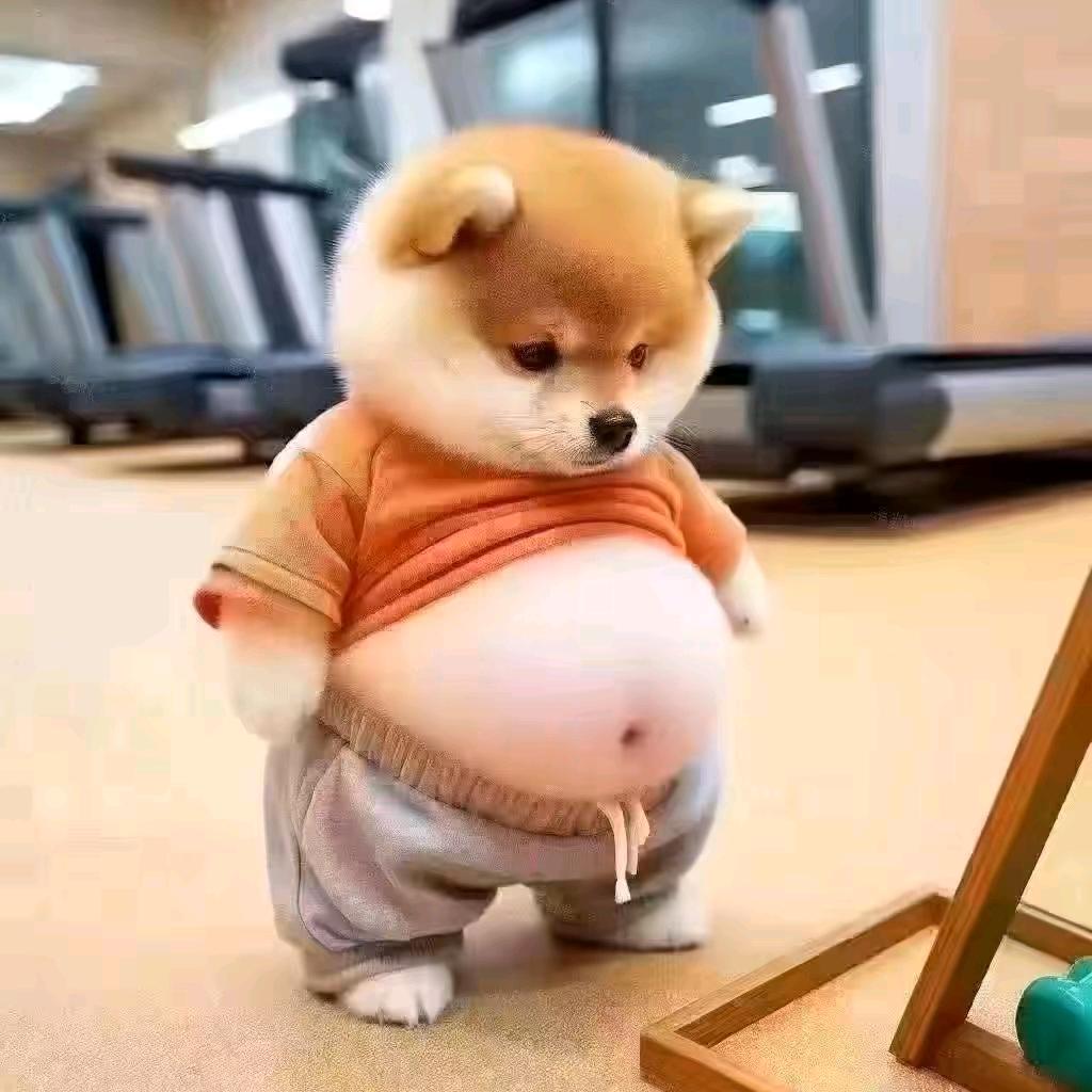 哇塞🌹你真美