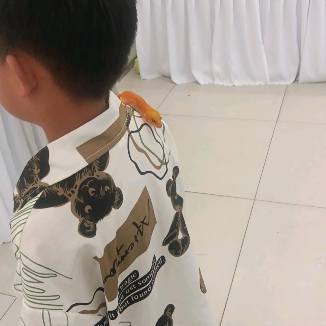 小邓
