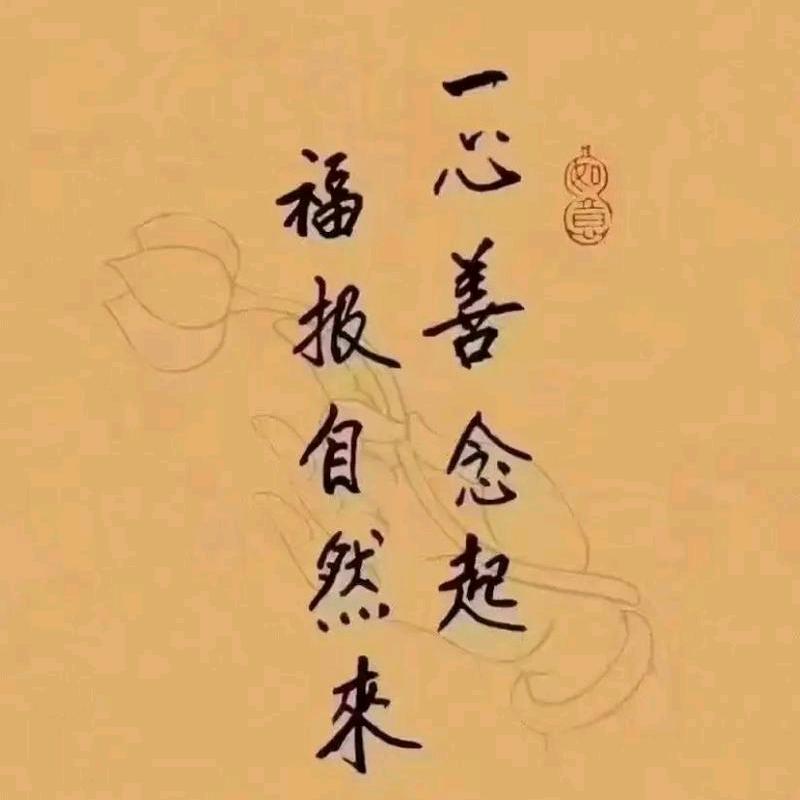 佛语善缘✨
