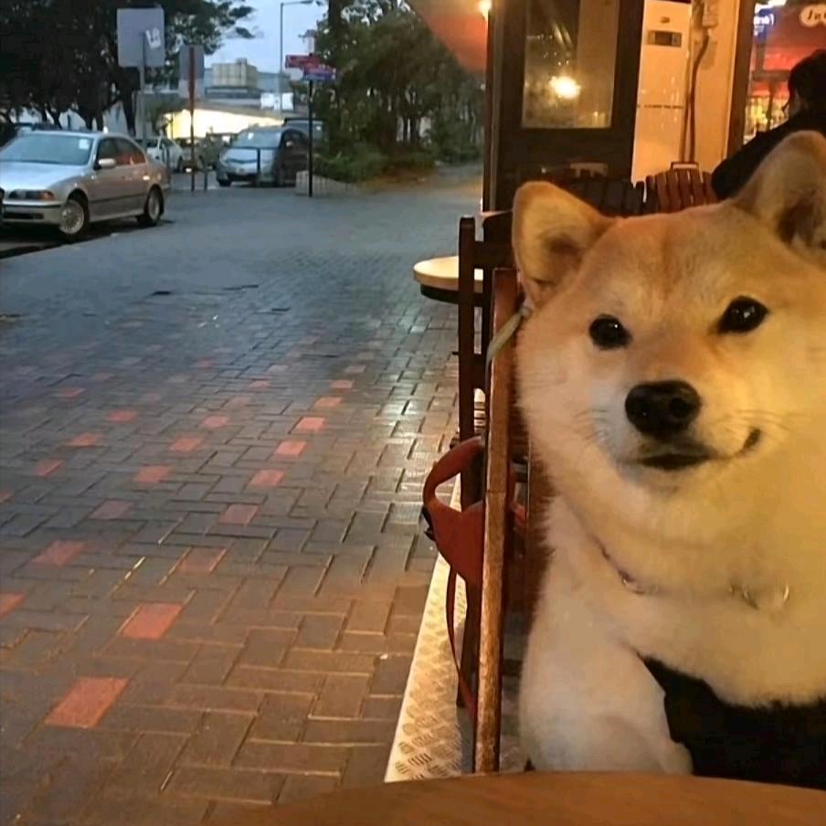 西红柿炒番茄