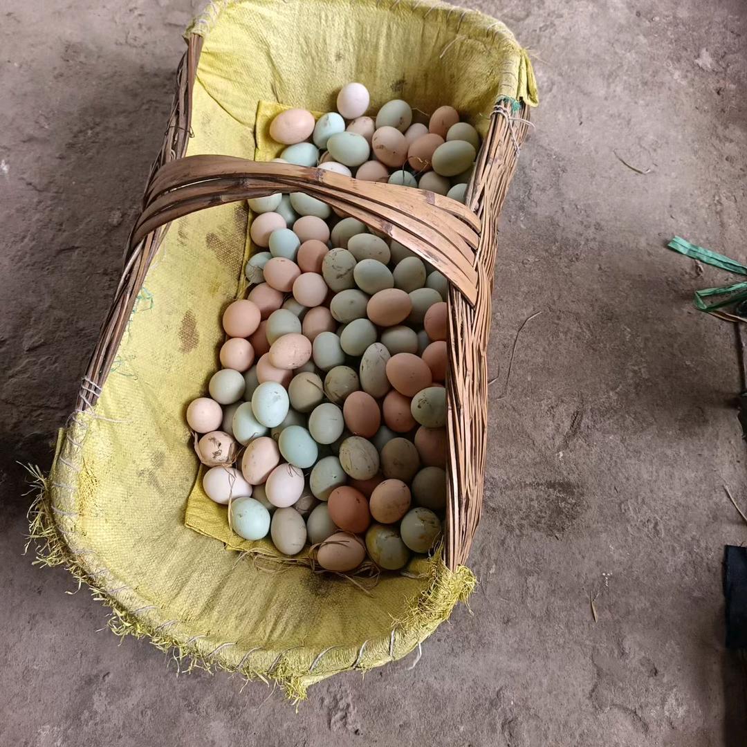 小琴^0^ 农副产品