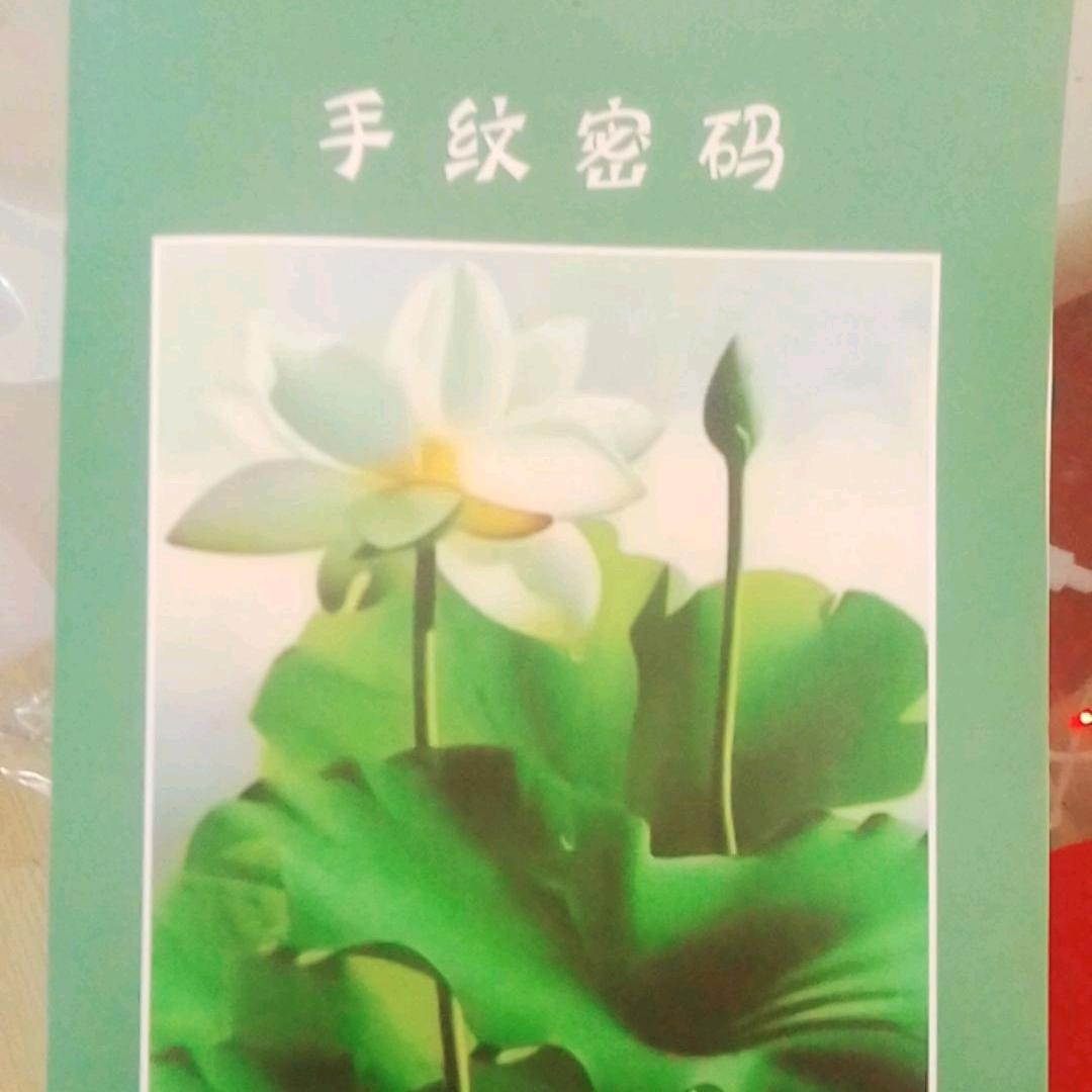 淡然居士