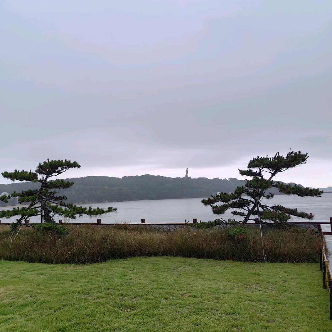 豫东小哥