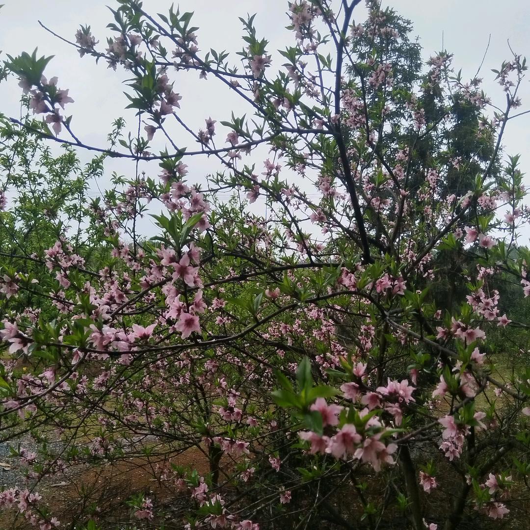 ໑ຼ025ღ᭄幸I运星🦋꧔ꦿ᭄💞