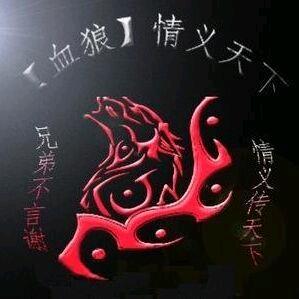 沙海血狼（鲁哥）