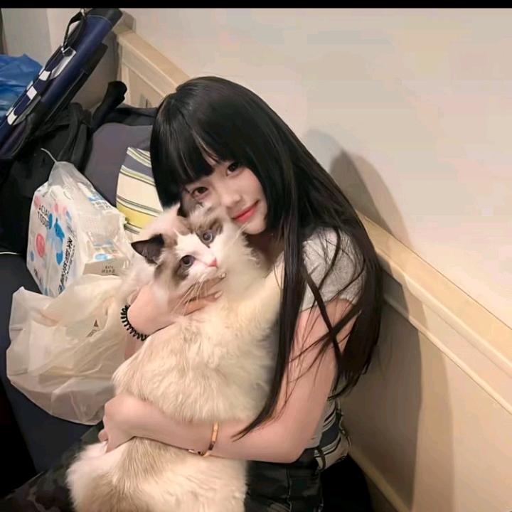 想你啦