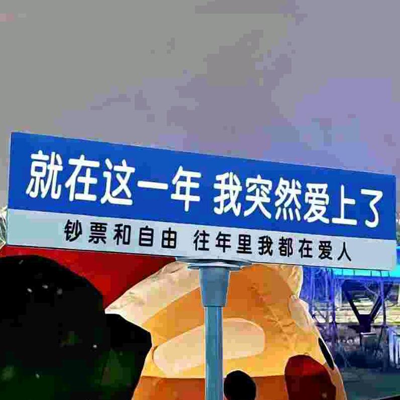 给你看猫