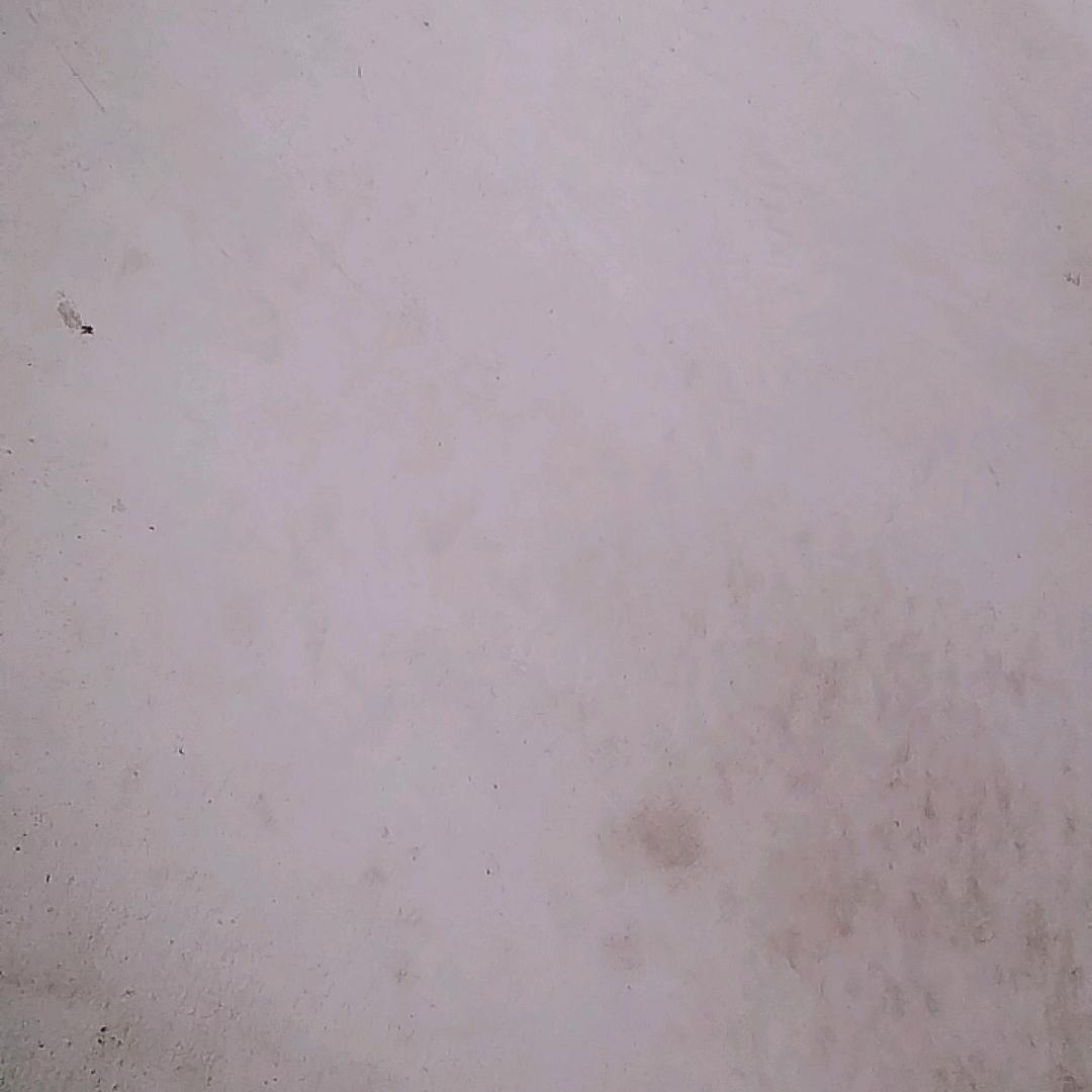 无言的