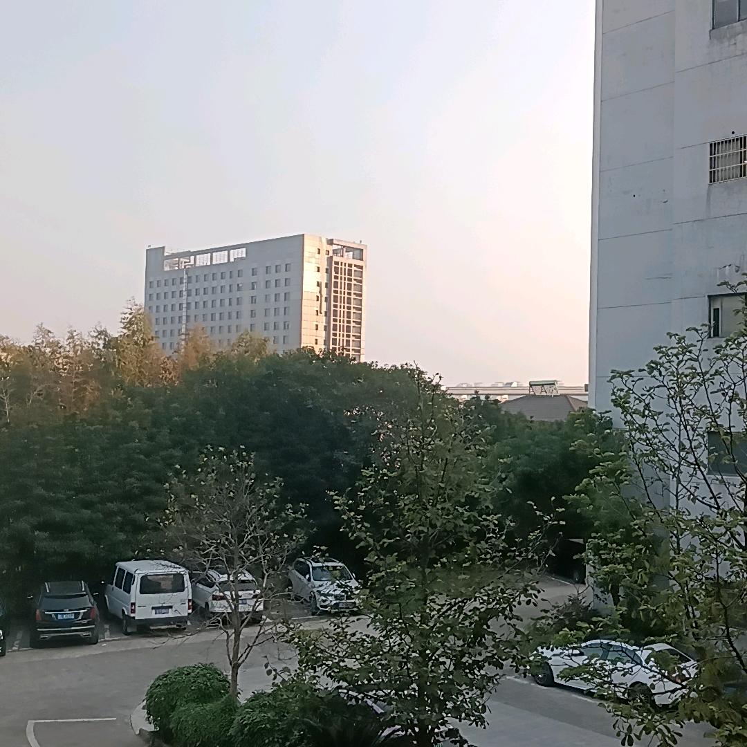 舟山阿嫂海鲜