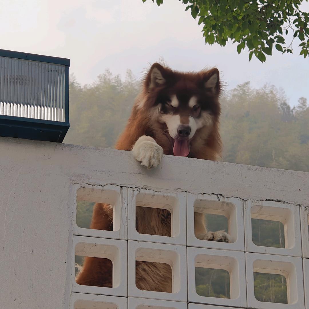 心壑XINHE-右噶！