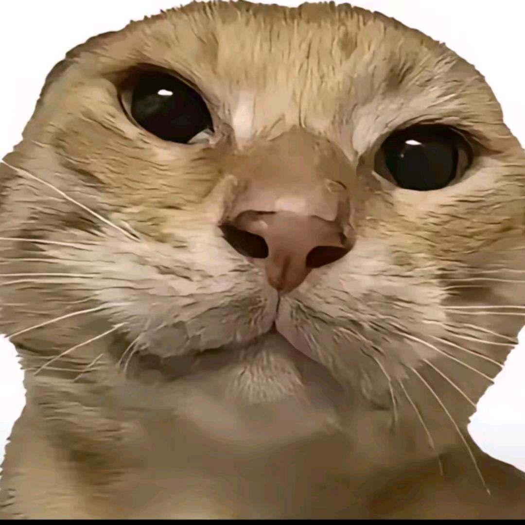 我不在