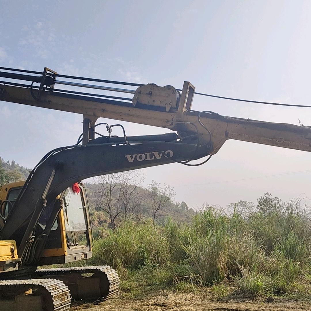 专业伐木团队有需要请联系我