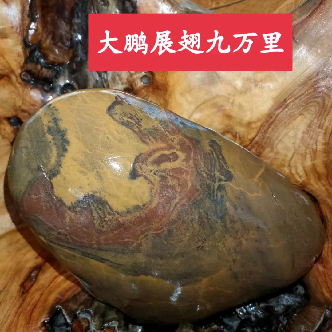 ₅²⁰石心🏀之约¹ᶟ₁₄