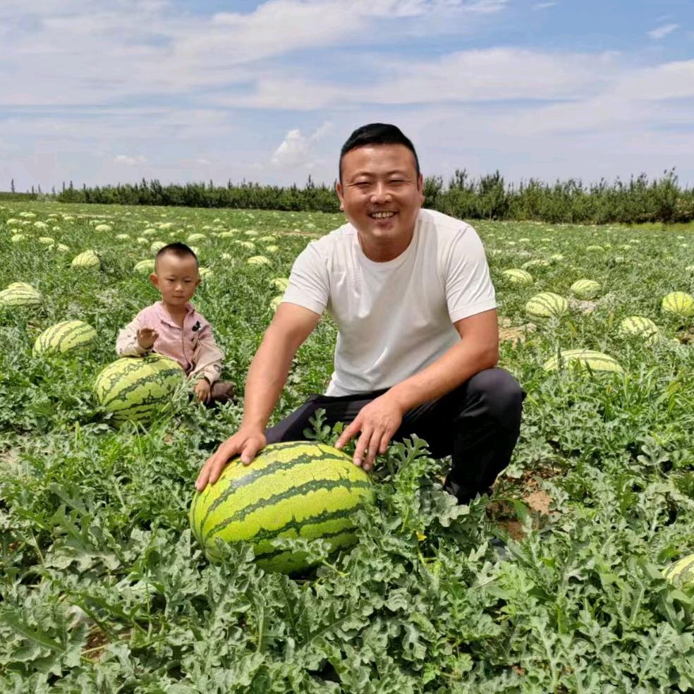 宁夏天俊瓜果流通