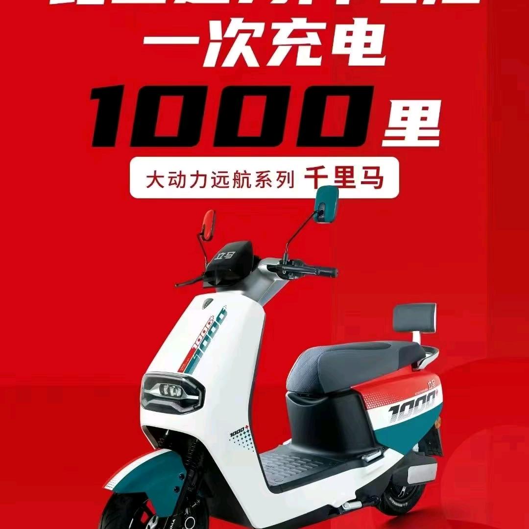 寇店镇立马电动车卖店