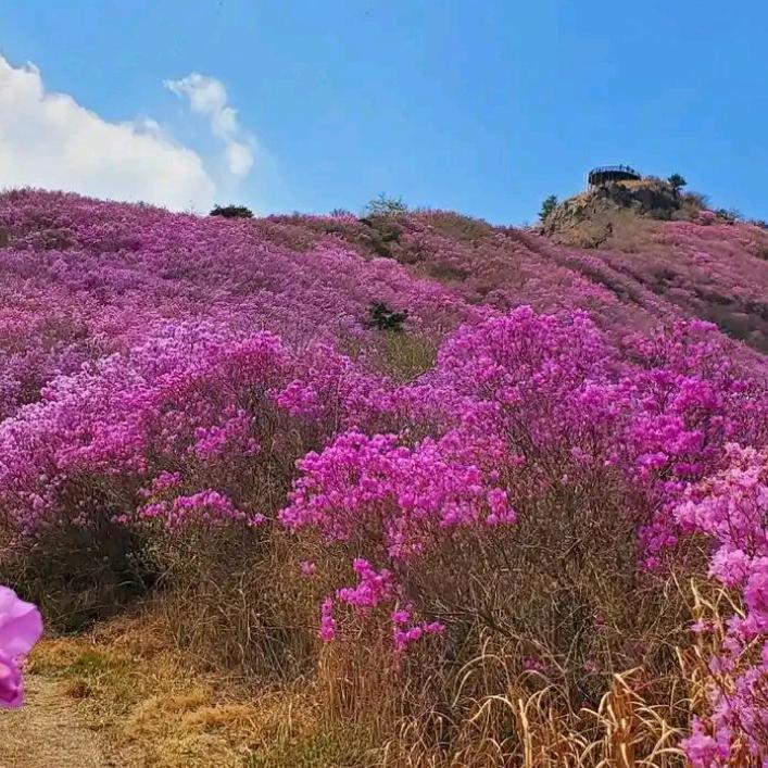 唯真不破