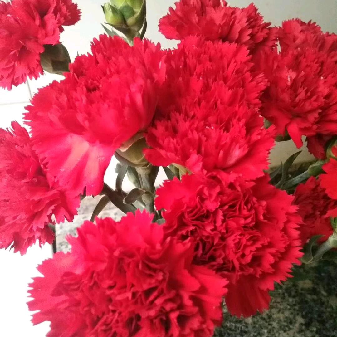 开心❤果