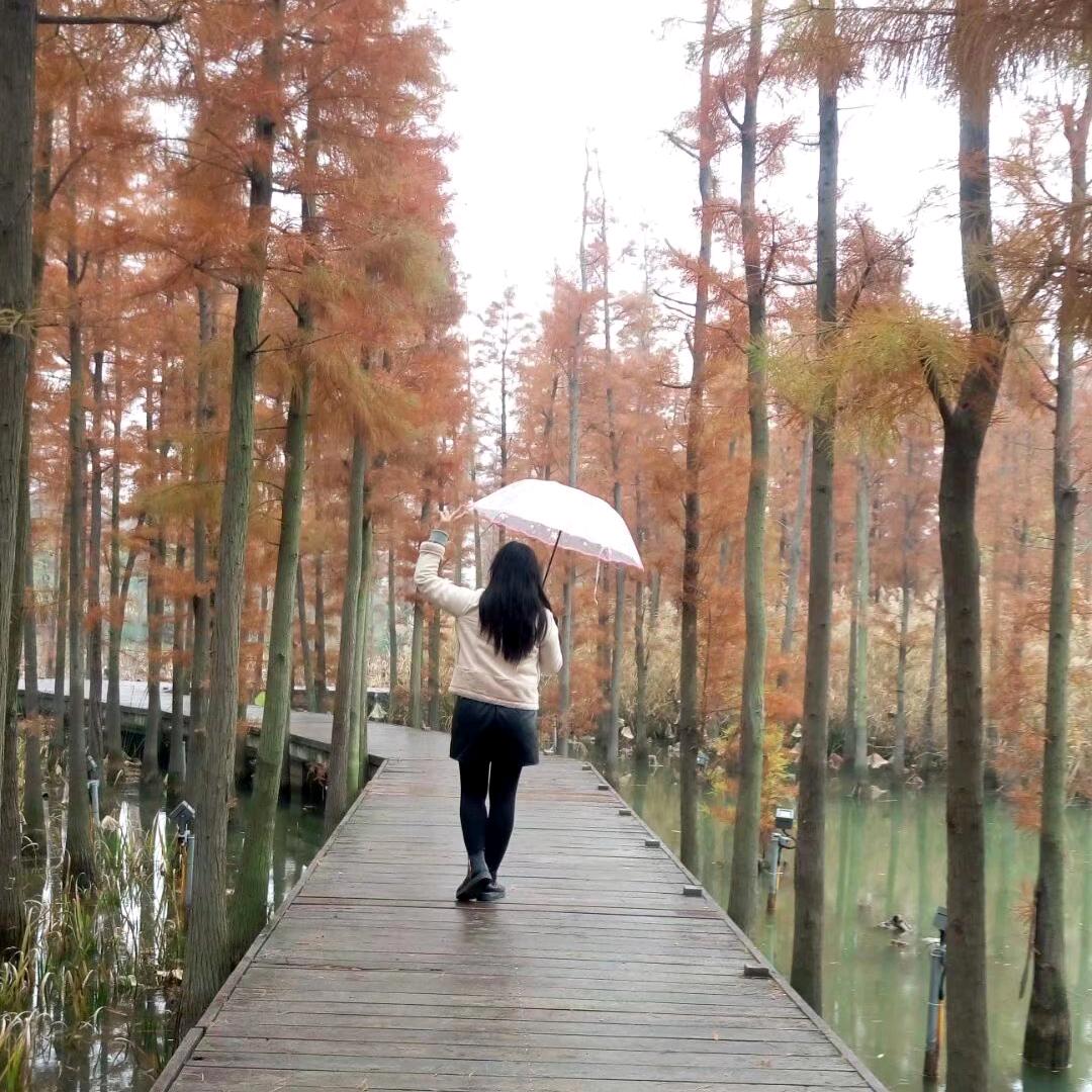 ღ心之所向ོ҉ꦿ࿐