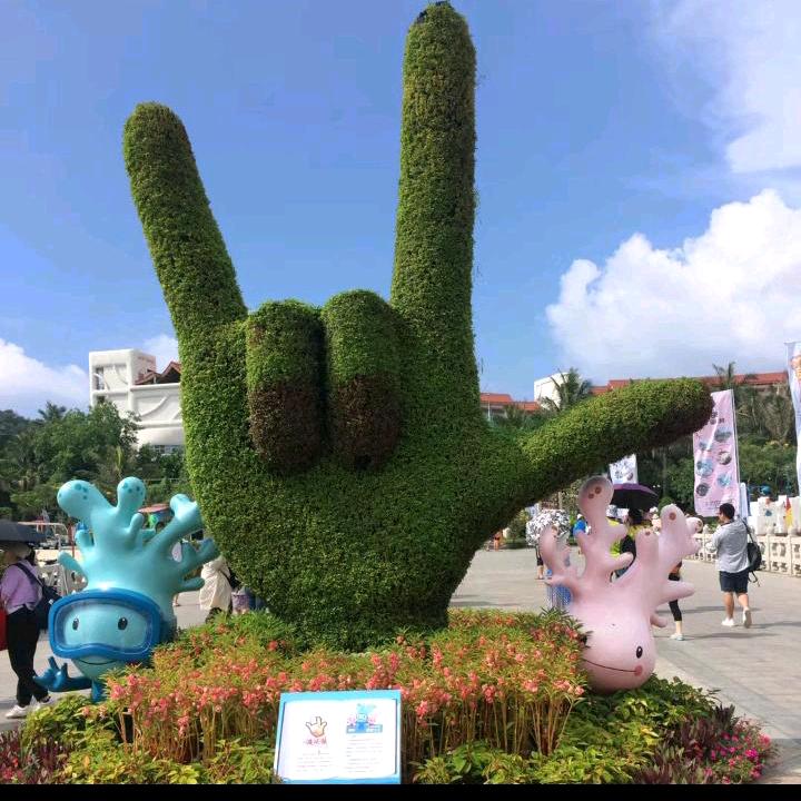 富贵花开