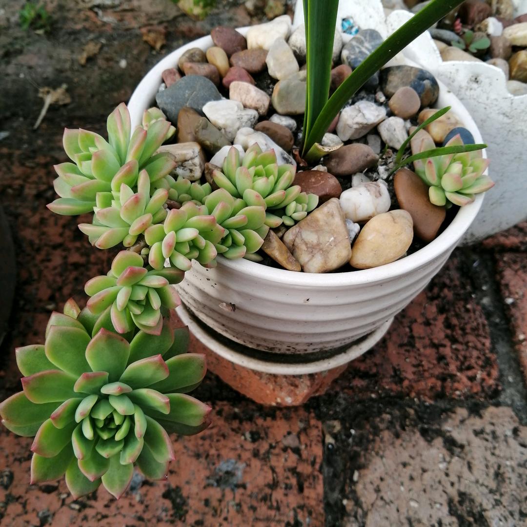 微笑面对生活😊