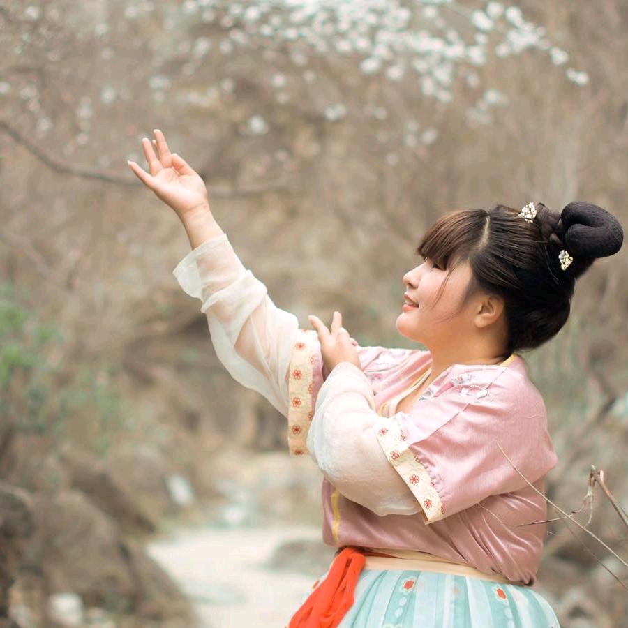 一🌈曲琵琶倾城梦