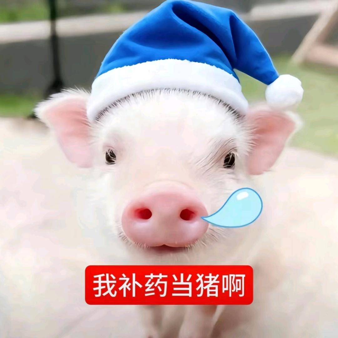 pabo（见过王扁版）