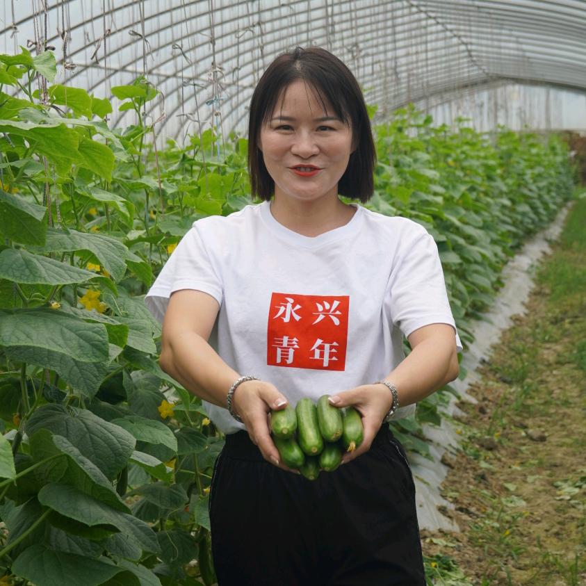农女香妹子（永兴县供销三农服务代言人）