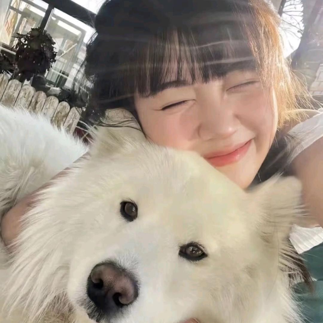 彤了个彤